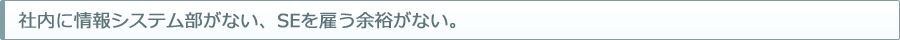 社内に情報システム部がない、SEを雇う余裕がない。